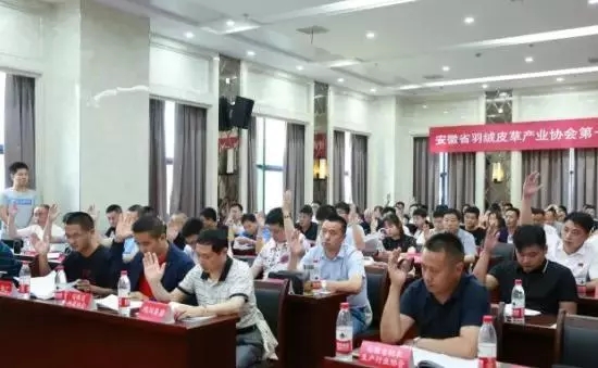 安徽省羽絨皮草產(chǎn)業(yè)協(xié)會(huì)成立，夏吉國(guó)總裁任第一屆理事會(huì)顧問(wèn)